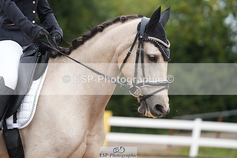 250907-115332-06190 - 095-Georgia.CadoganStars.Of.Jupiter