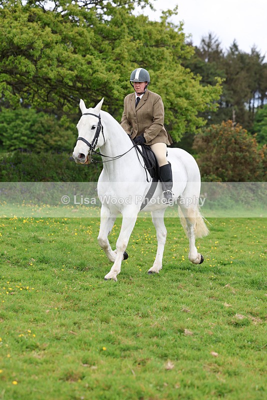 3E7A1147 - Class 7: Ridden Hunter Type