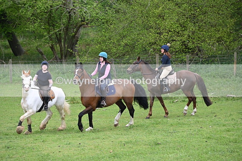 WJ6_3151 - A camera