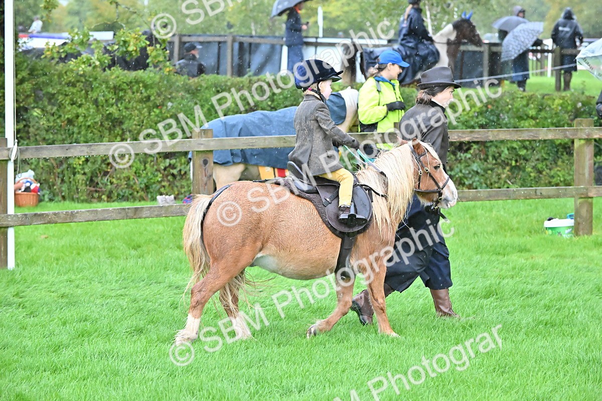 SBM_36482 - S18 - Novice & Newcomer Lead Rein Pony