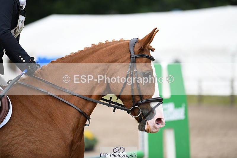 240825X-120016-32752 - 70cm SJ 11.40 to 12.30