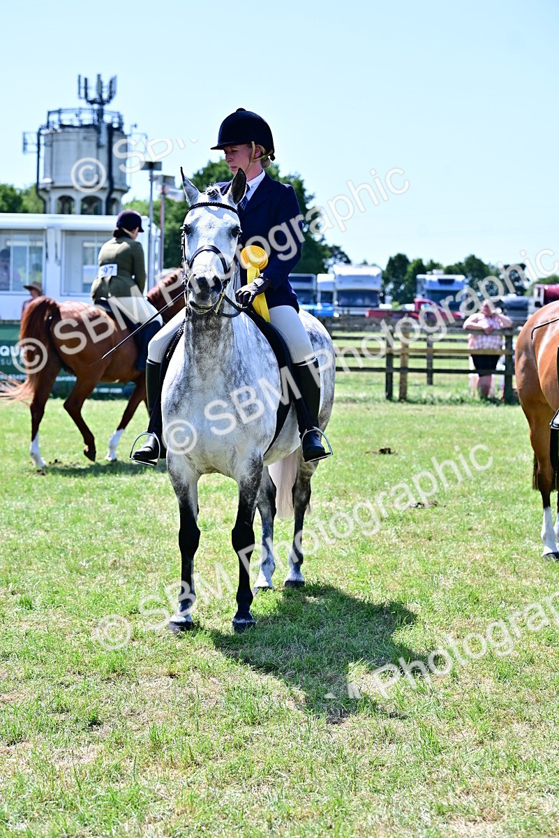 SBM_17521 - Class 95-97 - BSPS LHS Performance Ponies