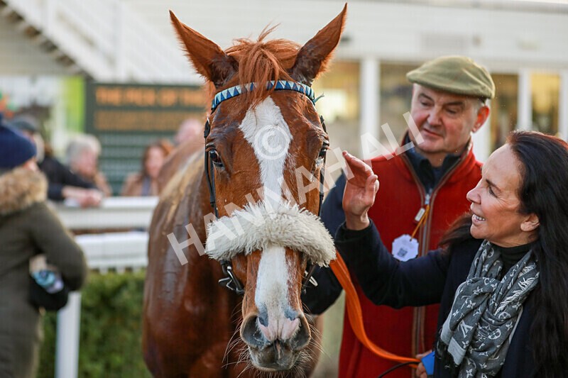 281224-Race 5-Poetry Man-1786 - Race 5