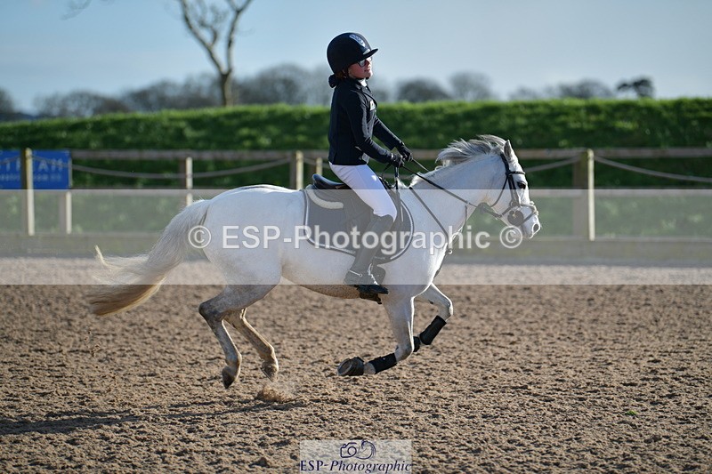 240211A-144525-03340 - Springboard