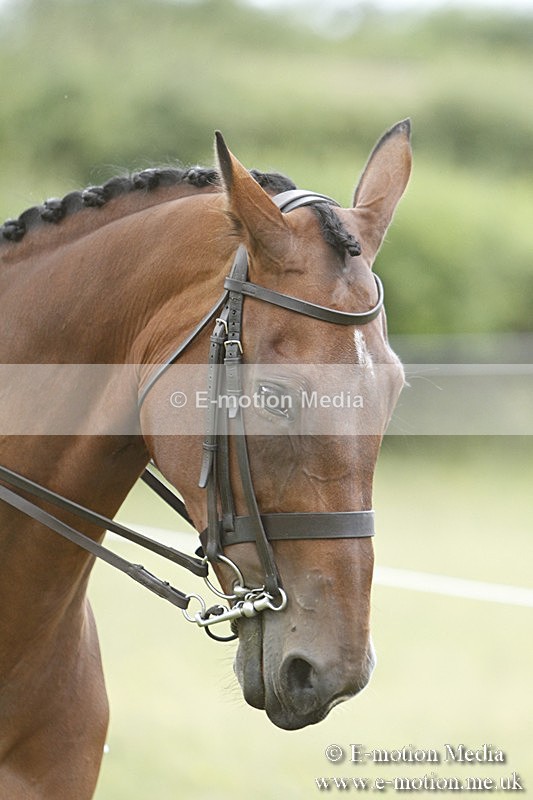 BVR160717-1770 - Ring 3 BVRC Show 16/07/17