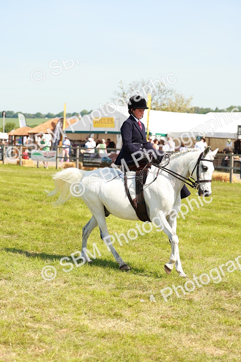 SBM_13359 - Class 70-71 - Side Saddle