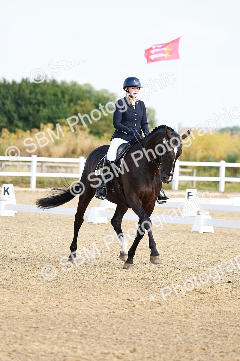 SBM_008290