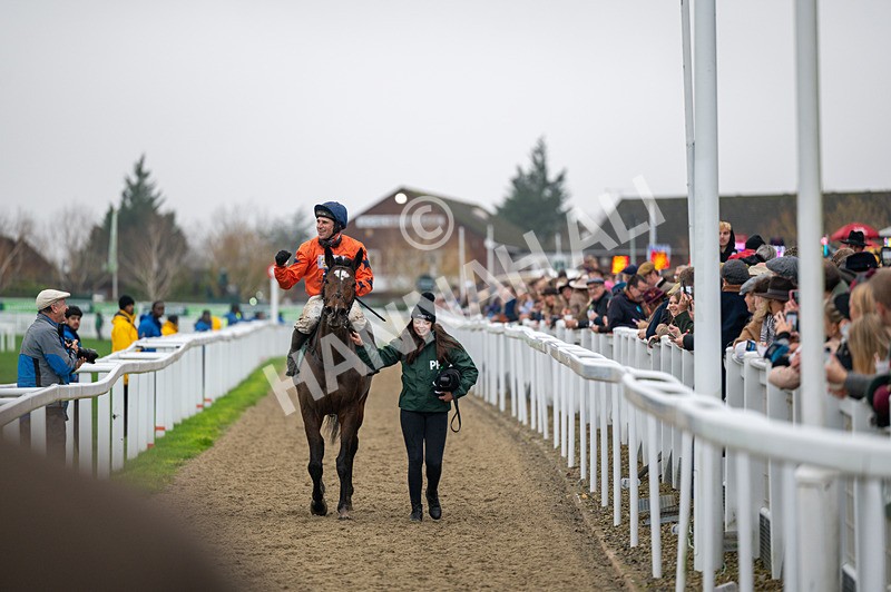 151125-Race 4-Panic Attack-0885 - Race 4