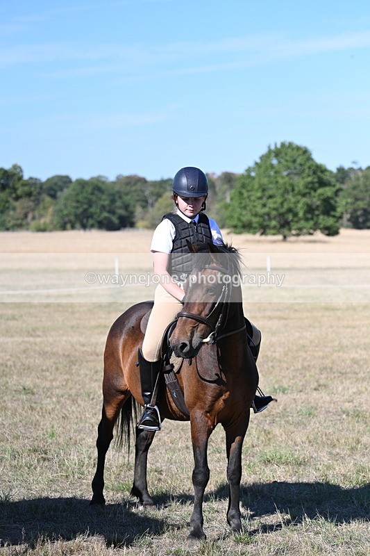 WJ7_2198 - Class 44 Child's Best Friend