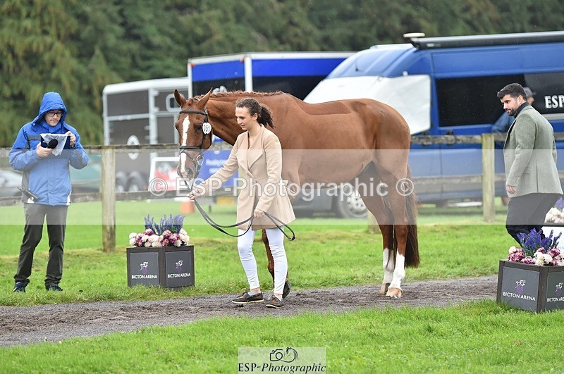 231018-123852-00422 - 051-VITAL.DK.Z-Isny.O'Donnell-TrotUp