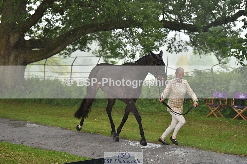 240522-151624-00217 - 366-GYPSIE_DU_LOIR-Yasmin_Ingham