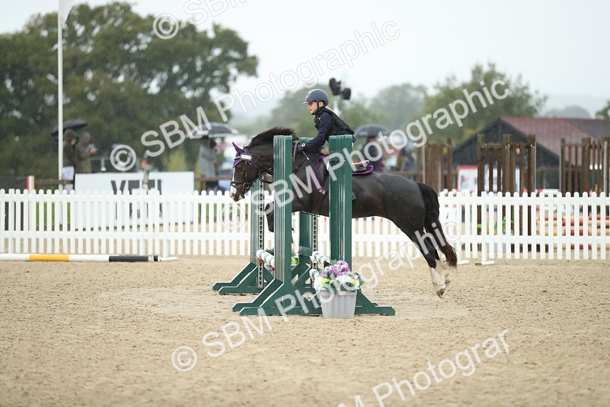 SBM_34344 - J60 Clear Round 50cm