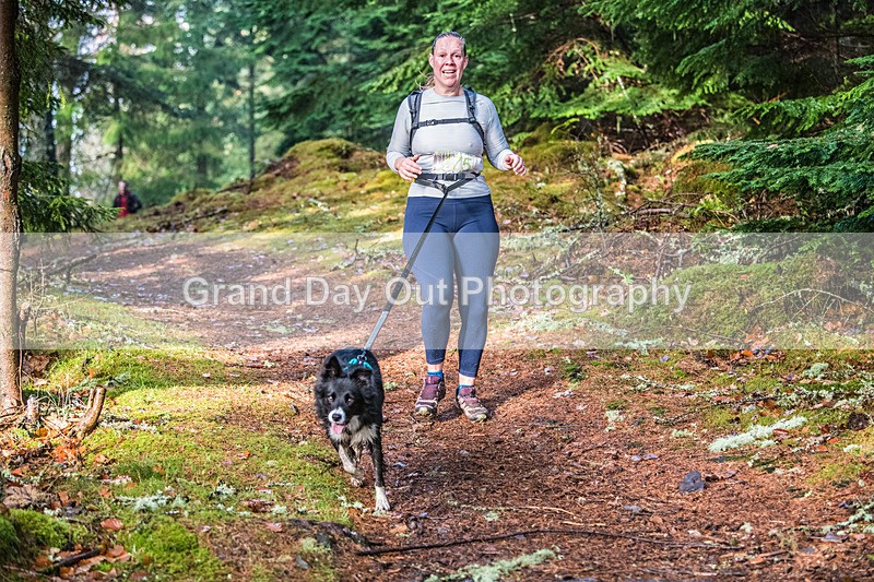 Glentress-1709 - High Terrain Events Glentress Winter Trail half Marathon & 10K Trail Run Saturday 19th November 2022