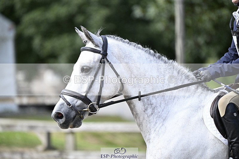 240823X-160957-19068 - 70cm R2 15.20 to 16.40