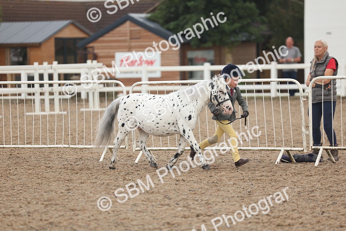 SBM_08432 - Class 29 - IH Veteran Pony