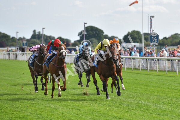 yr08072022r5-16 - Race 5 4.25pm Azets Stakes