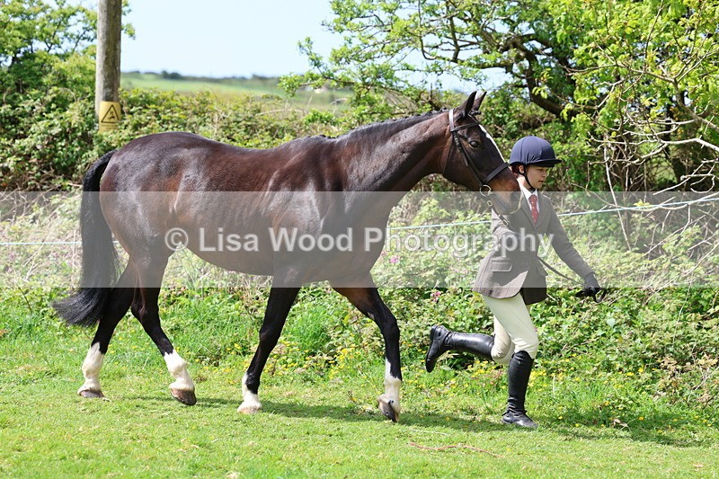 3E7A0469 - Class 20: Sports Horse