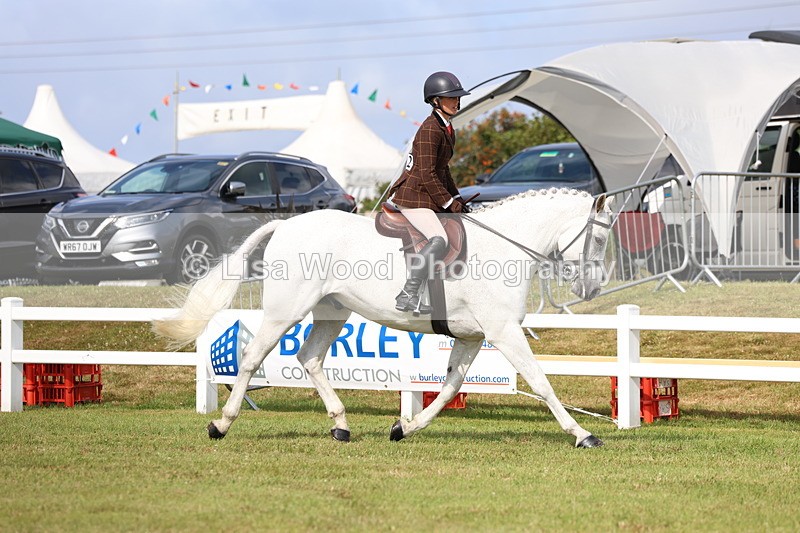 3E7A8941 - Class 3: Rising Star S/L Hunter