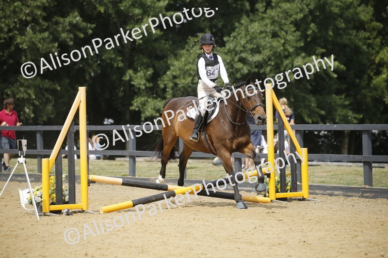 20250622-4150 - 50cm