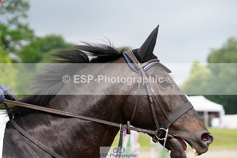250615A-093714-09888 - Class 43 British Novice 90cm Open