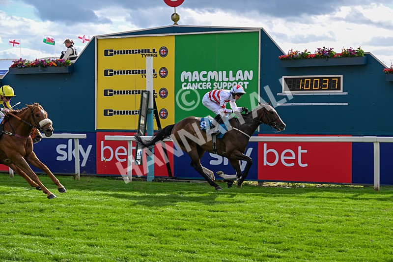 130626-Race 7-Musical Touch-2587 - Race 7 17.25pm Fordy Marshall Handicap