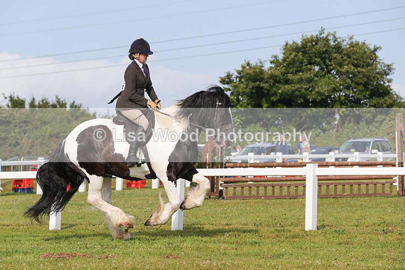 1X9A3159 - Class 27:  Ridden Native/Trad Coloured Horse