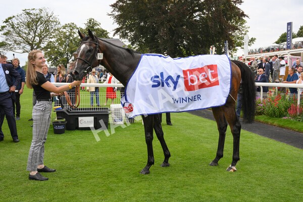 yr20082021r1-46 - Race 1 1.50pm Sky Bet Stakes