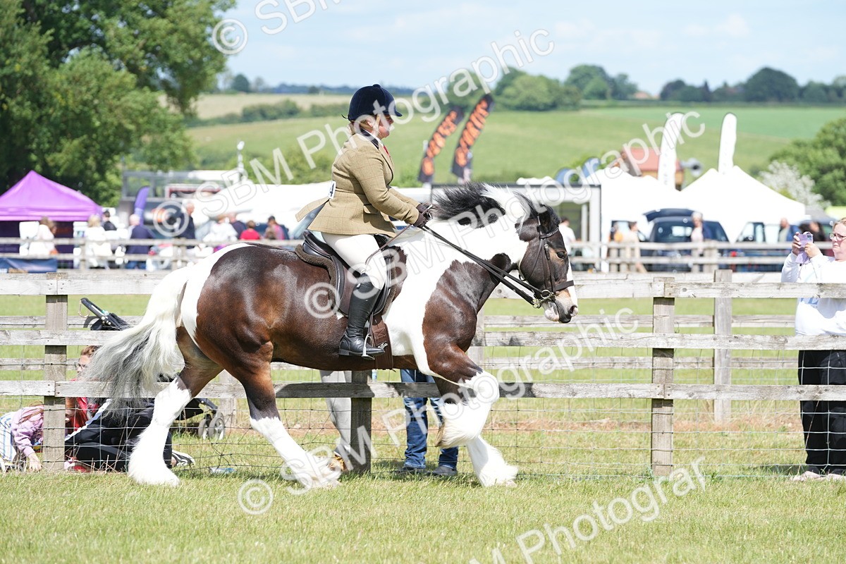 SBM_17133 - Class 107-108 - LIHS BSPS Performance Coloured Horse Pony