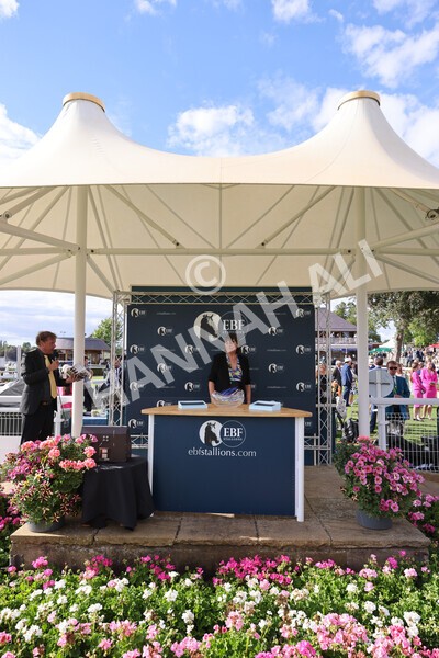 yr19082022r6-61 - Race 6 4.45 pm British Stallion Studs EBF Convivial Maiden Stakes