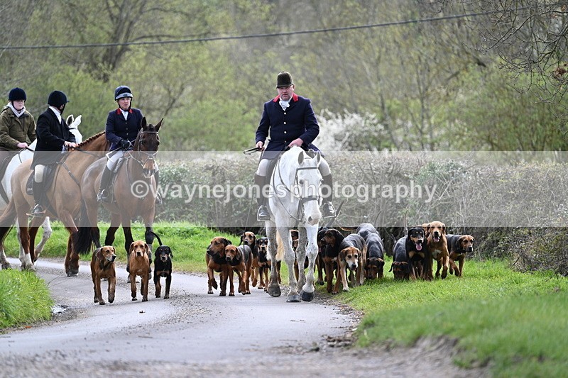 WJ7_9760 - Walk Home