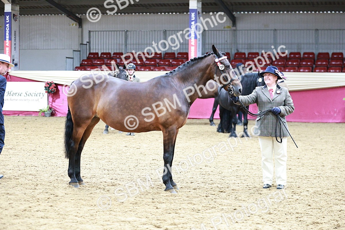 SBM_00922 - Class 2A - Area IH Veteran