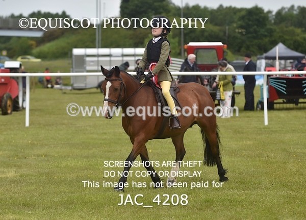 JAC_4208 - WORKING HUNTER CHAMPIONSHIP