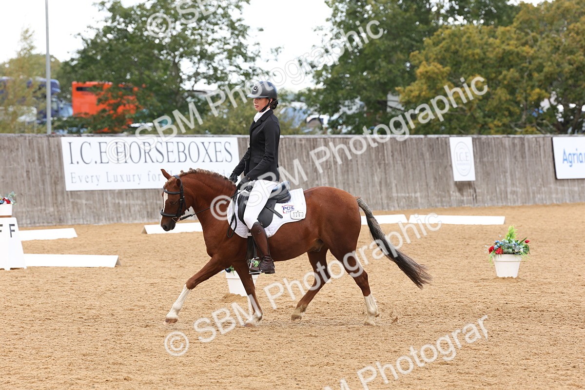 SBM_20272 - D10 - Small Tour Championship Prelim 2