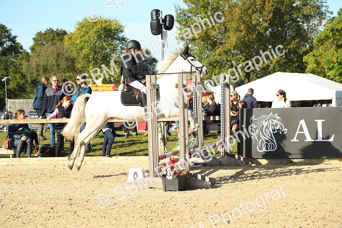 SBM_35819 - J5 - Junior Pony 50cm Championship
