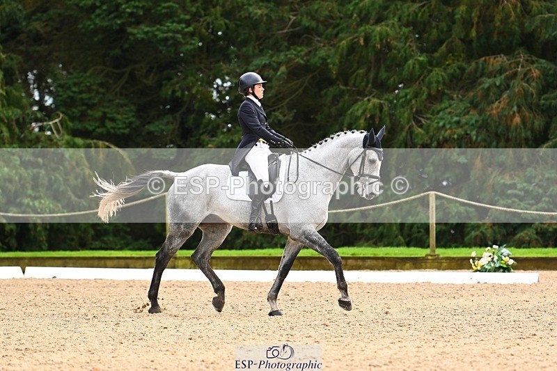 231021-135111-18573 - 248-KINGS.LANE-Liberty.Smith-DR