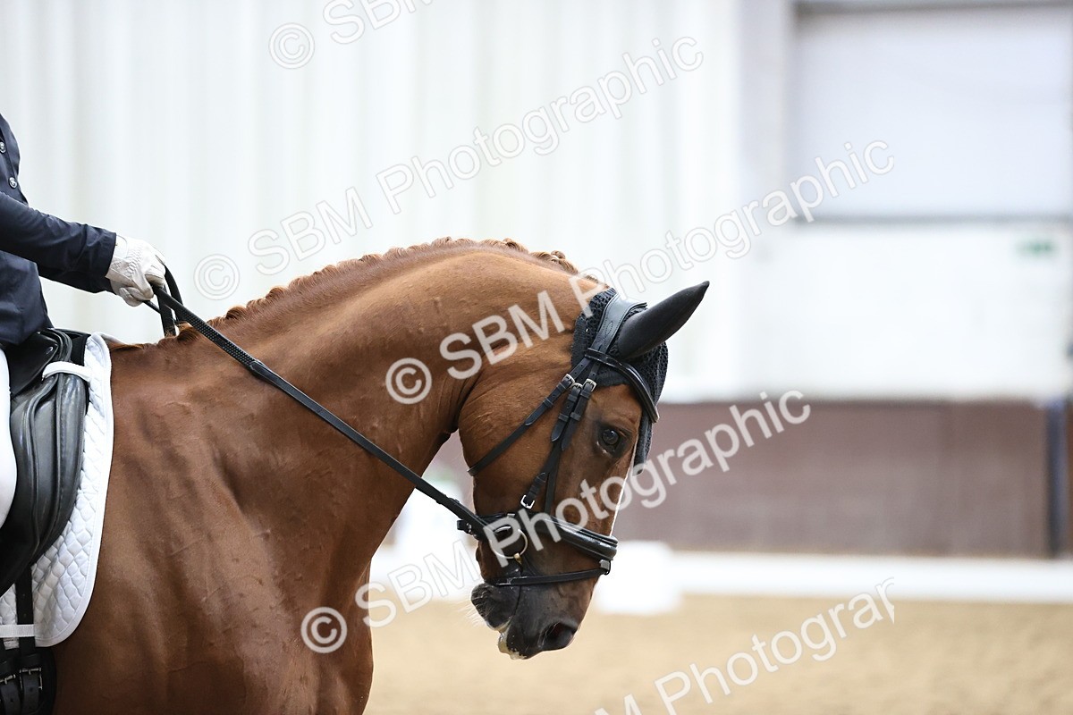 SBM_019500 - Class 21 - Medium 73 - 10.20-11.32