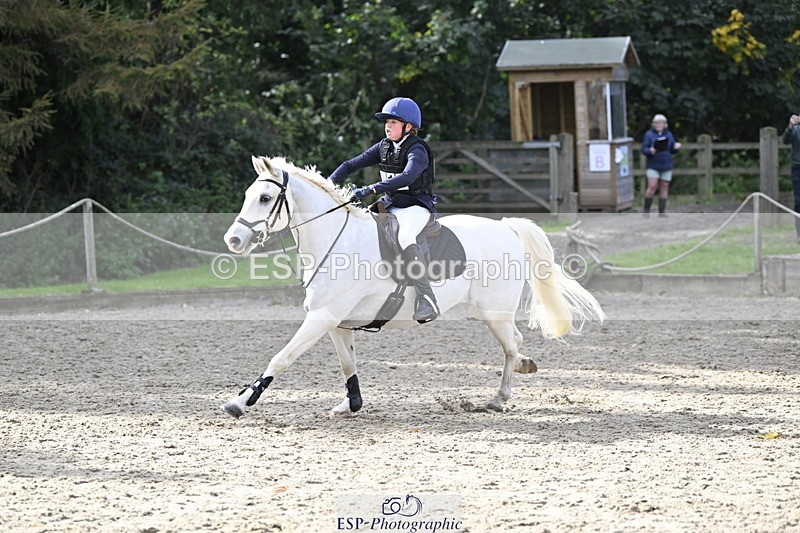 251005A-125428-03950 - Cls 08 Mini 70-75cm