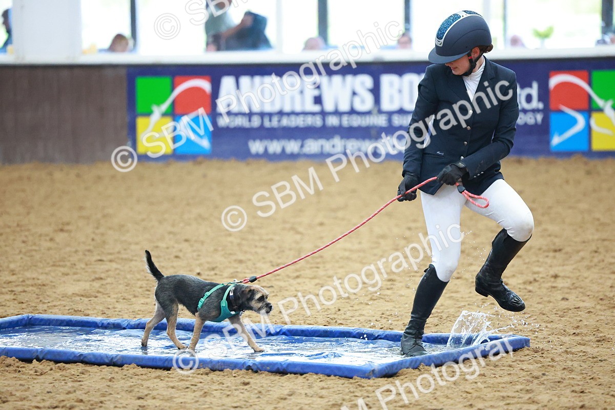 SBM_001661 - Class 3 - Horse & Hound (60cm)