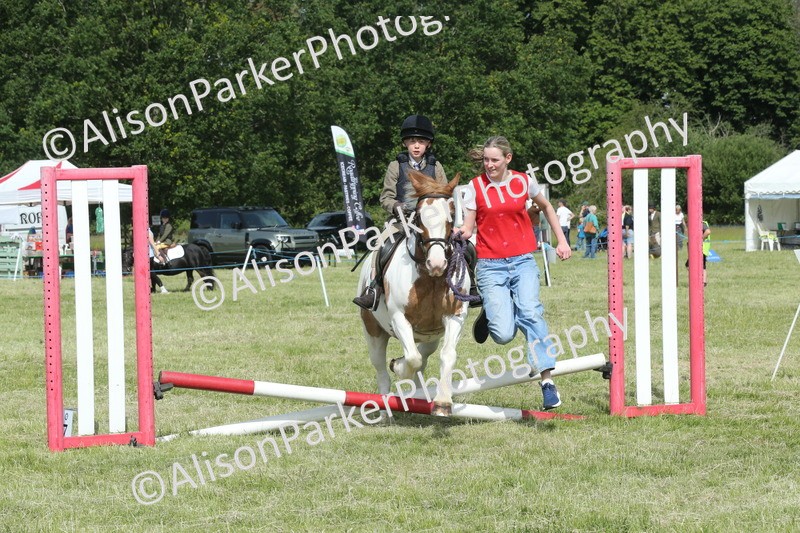 20260614-0262 - Class 1 - 30cm Lead Rein
