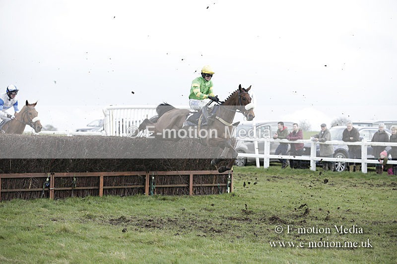 PtP 150320 0587 - New Forest Point-to-Point Larkhill 15/03/20