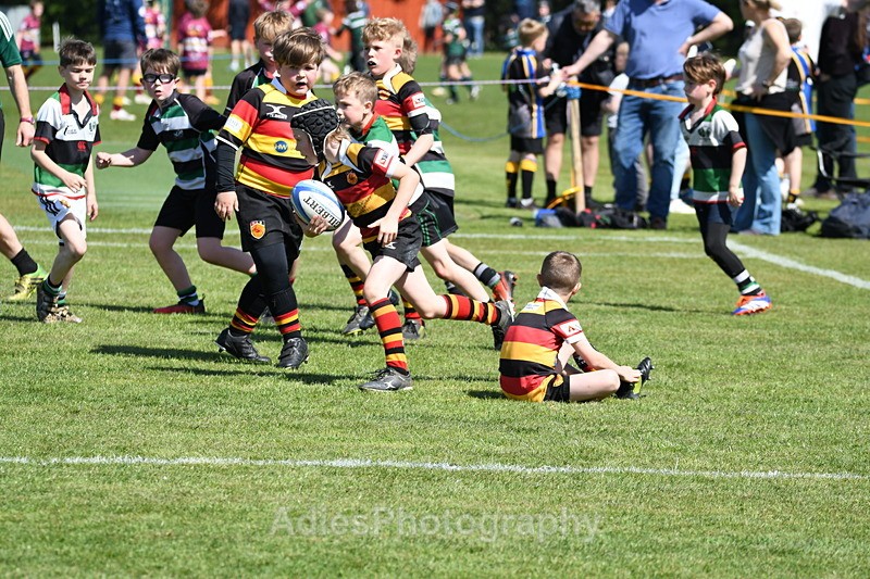  - Selby Rugby Festival 2025