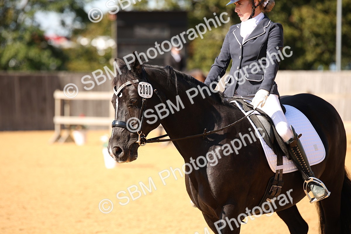 SBM_24219 - D5 - Small Tour Championship - Intro C