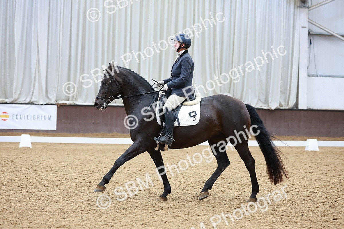 SBM_007622 - Class 4-5-6 - Prel 3-Novice 2-Ele 2