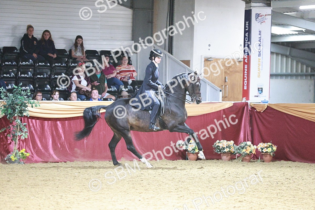 SBM_09077 - Class 12R - Regional Ridden Pre-Vet