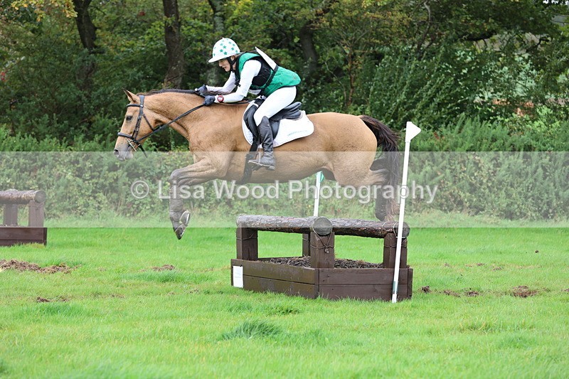 JPP_5463 - Class 5: 90cm Crossed Logs