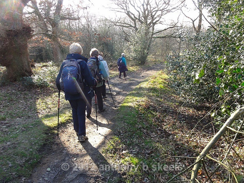 008 Leaving Mauds farm into High Wood - The Nidderdale Way Collection