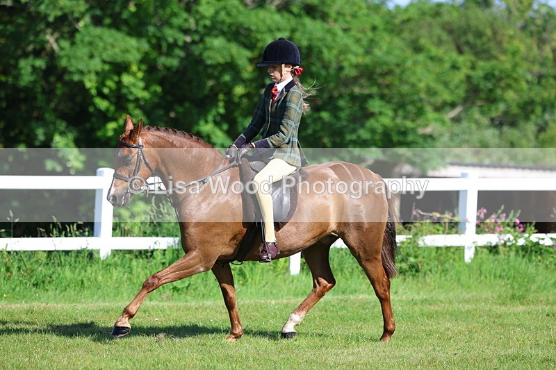 3E7A5917 - Class 27: Novice Working Hunter Pony