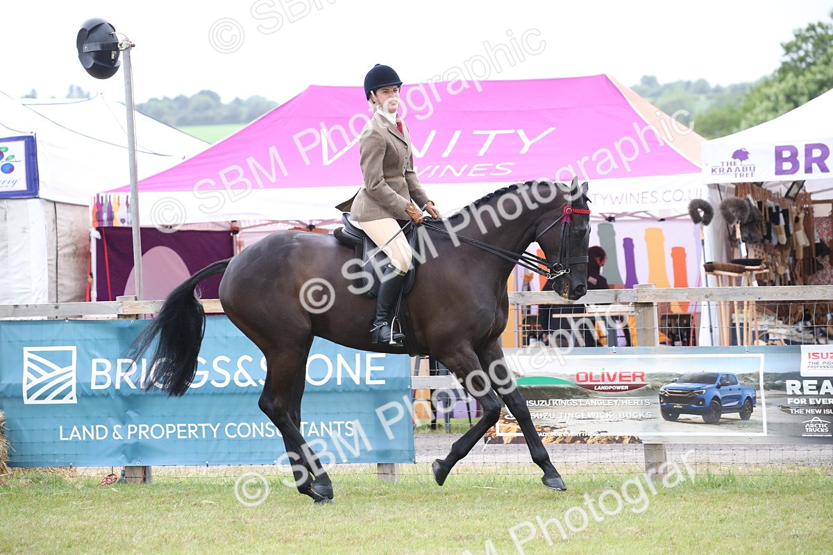 SBM_11431 - Class 94 - LIHS BSHA Racehorse to Showhorse