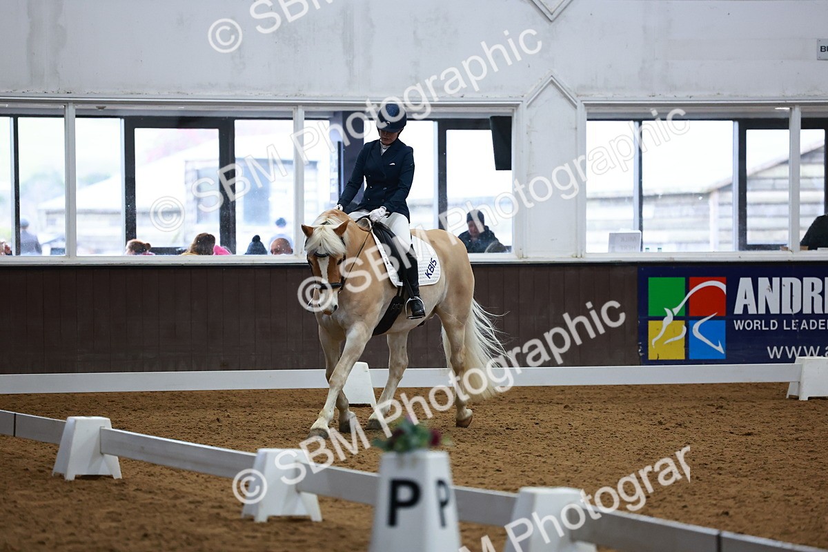 SBM_002870 - Novice Music