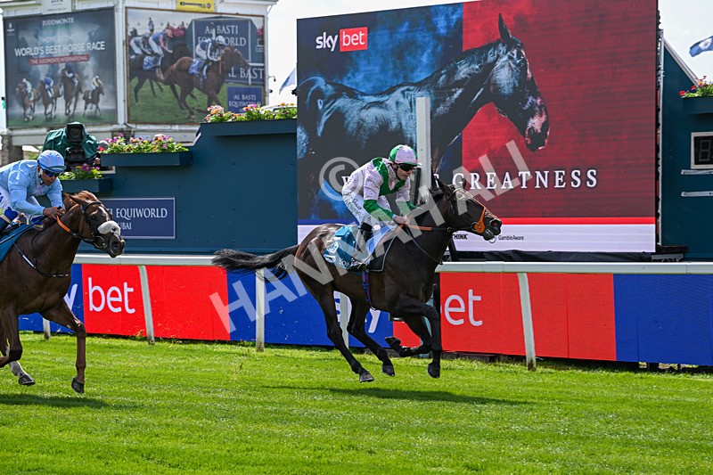 140526-Race 1-Persian Spring-4374 - Race 1 1.45pm Sky Bet ebfstallions.com Novice Stakes